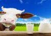 SouthVilleMaelk Fresh Milk Distribution System Expands Into Delhi-NCR farm fresh milk