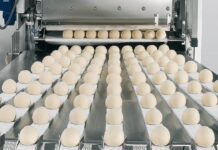All You Must Know About The Fine Art Of Biscuit Production Line Manufacturers biscuit production line