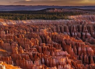 Most Visited Destination In the USA most visited place in usa