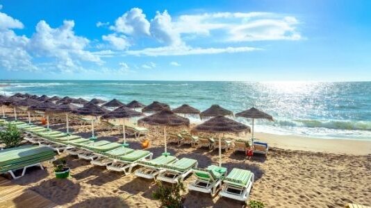 Things to Avoid when Visiting Malaga Malaga