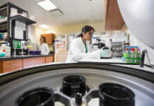 How To Accelerate Assay Development And Validation For Bioanalytical Testing?