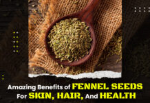 Amazing Advantages Of Fennel Seeds For Skin, Hair, And Health Benefits Of Fennel Seeds, Amazing Benefits Of Fennel, Fennel seeds for skin, Genmedicare