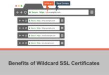 Wildcard SSL Certificate or SAN SSL Certificate: Factors to Consider Before Making A Choice wildcard SSL certificates