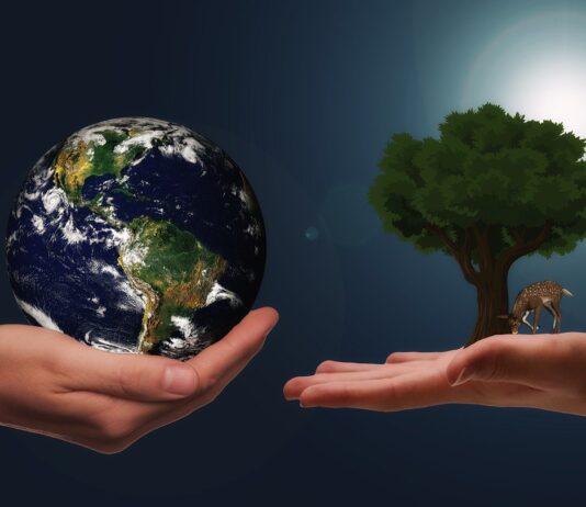 Collapsing Ecosystem – A Countereffect Of Globalization Ecosystem