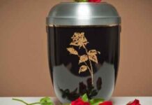 Aquamation vs Cremation: What’s the Difference? Aquamation vs Cremation