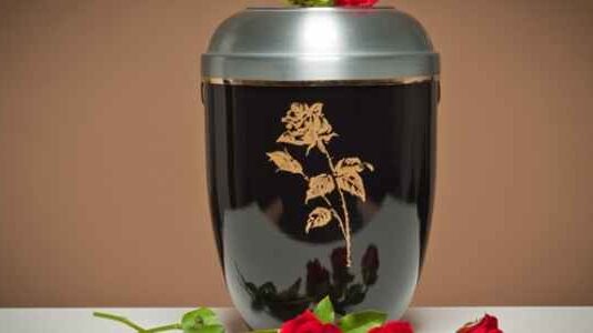 Aquamation vs Cremation: What’s the Difference? Aquamation vs Cremation