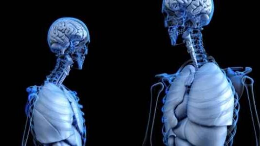 How Does 3D Animation Benefit the Healthcare Industry Today? How Does 3D Animation Benefit the Healthcare Industry Today