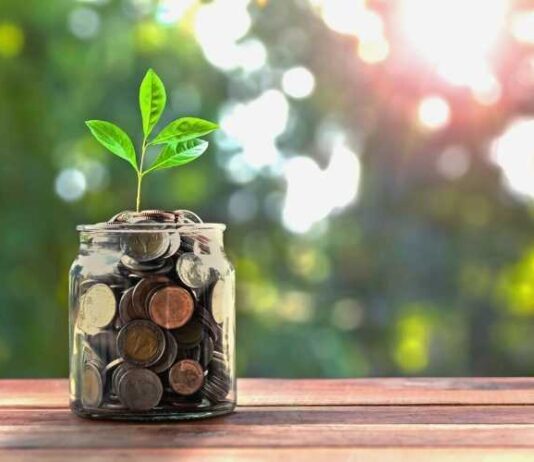 Home Economics: How To Save Without Giving Up