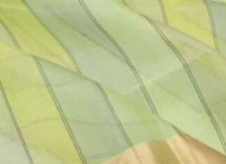 How Much Does Organza Saree Cost? How Much Does Organza Saree Cost