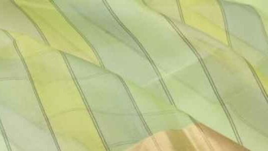How Much Does Organza Saree Cost? How Much Does Organza Saree Cost