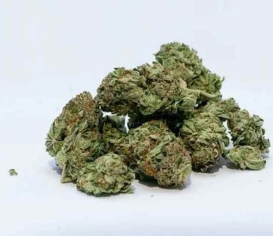 How is THC Helpful in Multiple Sclerosis? How is THC Helpful in Multiple Sclerosis