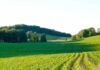How much does 28.8 acres of land cost: All you need to know is the cost of land in the US! 28.8 acres of land cost