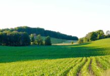 How much does 28.8 acres of land cost: All you need to know is the cost of land in the US! 28.8 acres of land cost