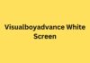Visualboyadvance White Screen Visualboyadvance White Screen
