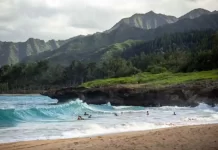 Things to Consider When Moving to Hawaii – Cheap Car Shipping & More Things to Consider When Moving to Hawaii - Cheap Car Shipping & More