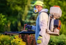 Mosquito-Borne Diseases: Why Pest Control Service Is Crucial Mosquito-Borne Diseases: Why Pest Control Service Is Crucial