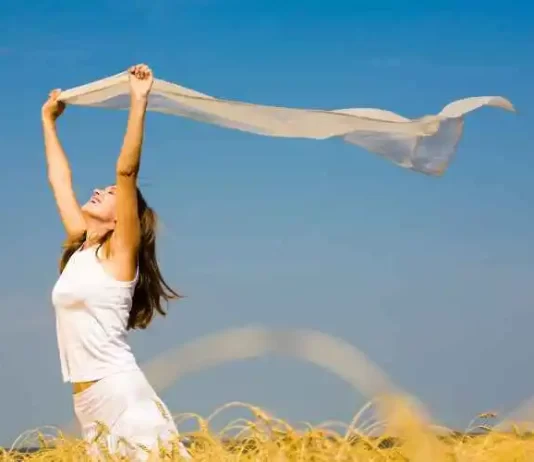 The Analog Resurgence: Rediscovering the Pleasures of Physical Sound The Analog Resurgence: Rediscovering the Pleasures of Physical Sound